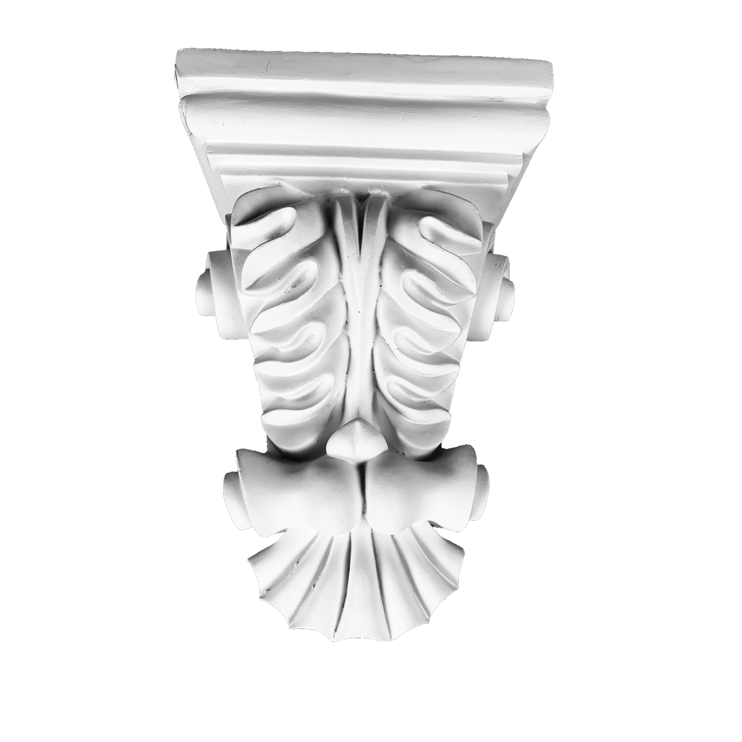 Shell Crest Leaf Corbel