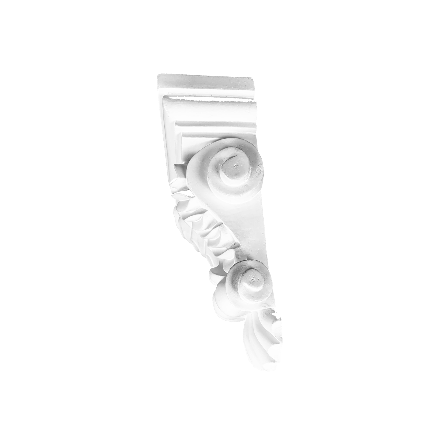 Shell Crest Leaf Corbel