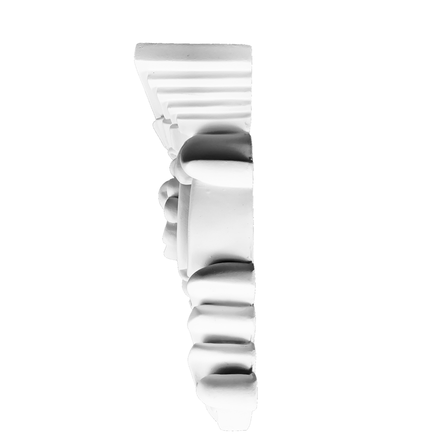 Shell Crest Corbel