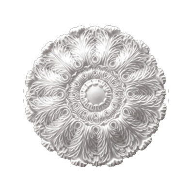 Parlor Acanthus Circle Medallion